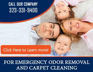 Tips | Carpet Cleaning Brentwood, CA